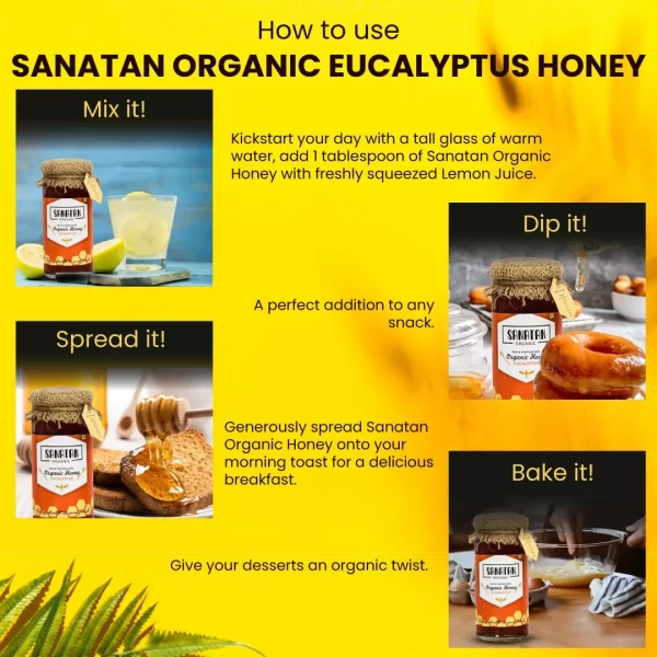 Eucalyptus Honey - Image 5