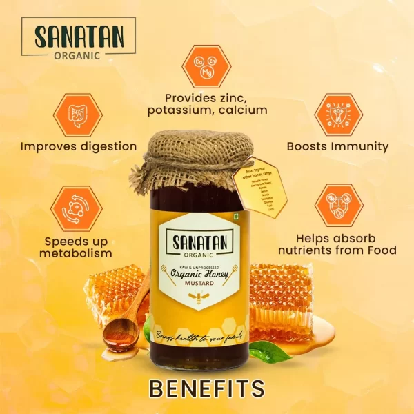 Mustard Honey - Image 3