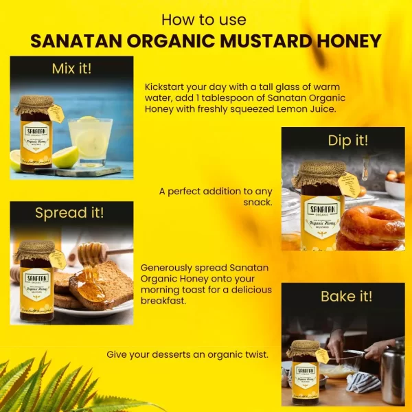 Mustard Honey - Image 5